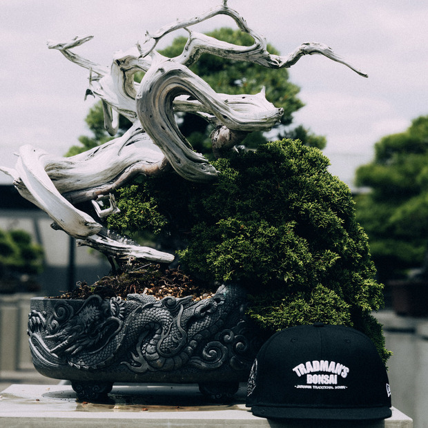 9FIFTY Original Fit ソフトバックラム TRADMAN’S BONSAI 詳細画像